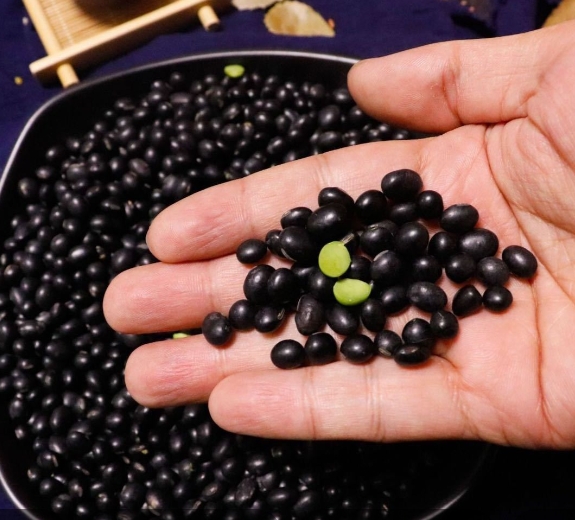 无损检测黑豆产地溯源