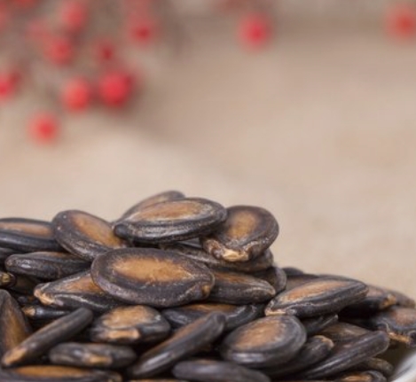 西瓜籽品质（劣变、微生物）高光谱数据采集