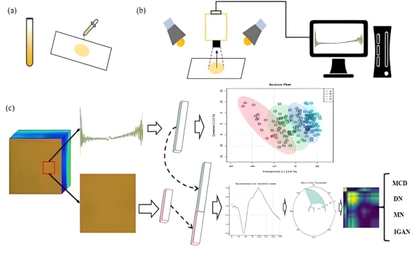 高光谱数据预处理