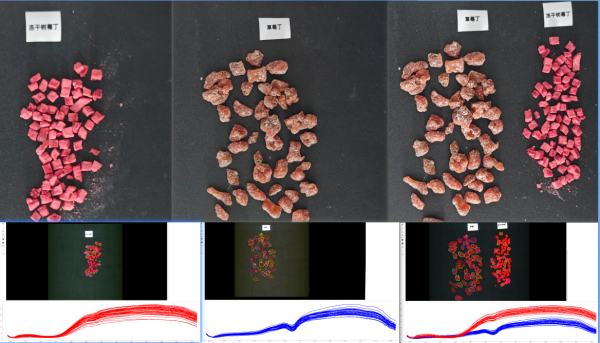 采集草莓丁和冻干树莓丁高光谱数据