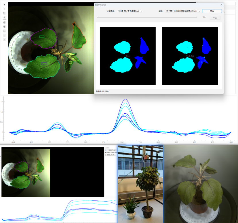 茄子苗高光谱数据采集-干旱胁迫分析
