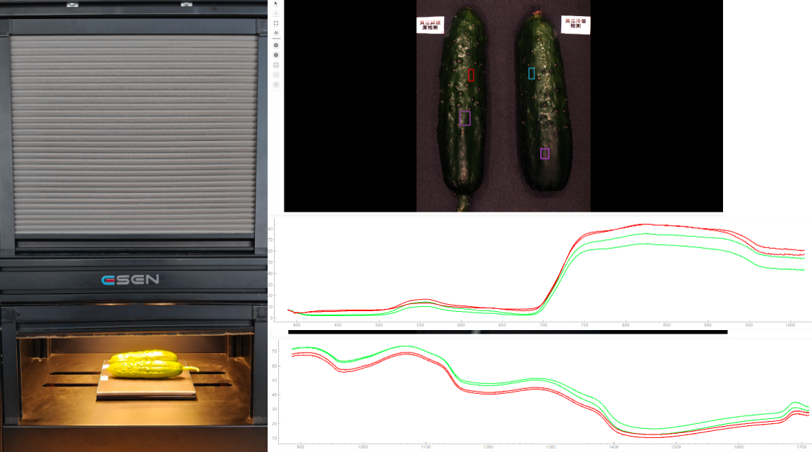采集黄瓜高光谱数据