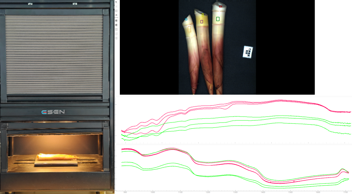 采集竹笋高光谱数据