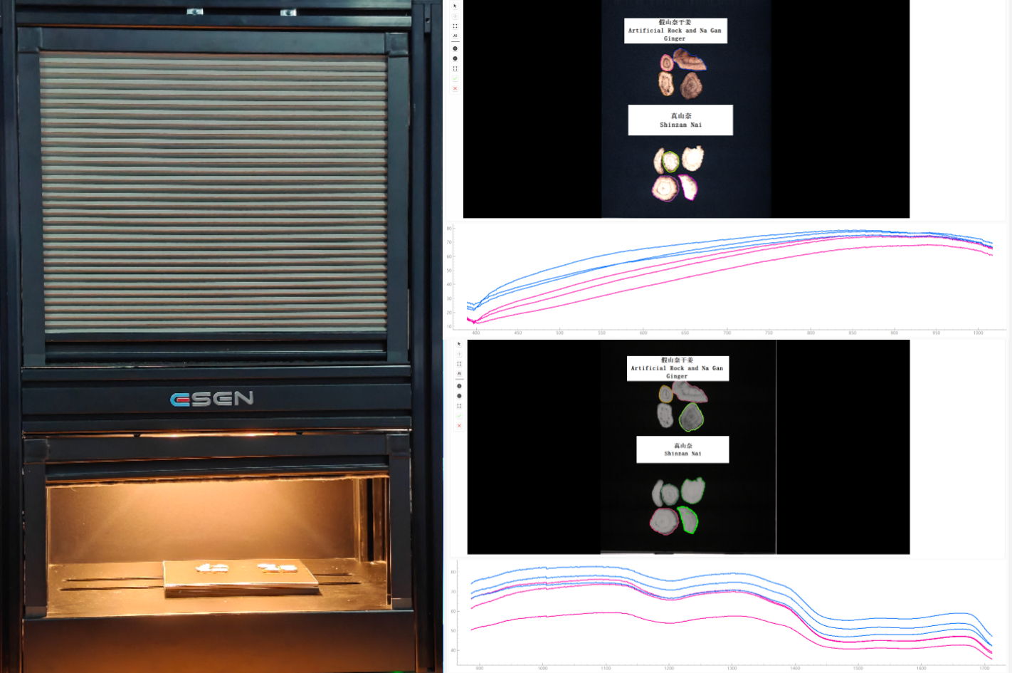 采集山奈高光谱数据