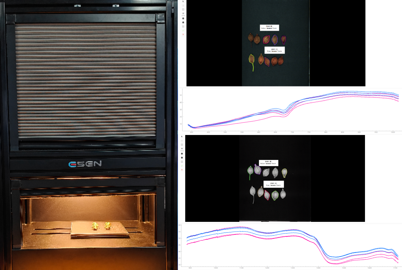 采集香砂仁高光谱数据