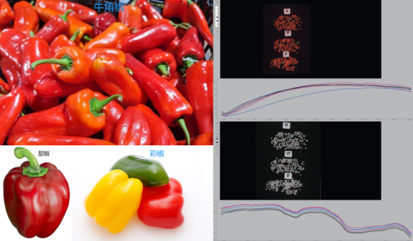 采集辣椒种子高光谱数据