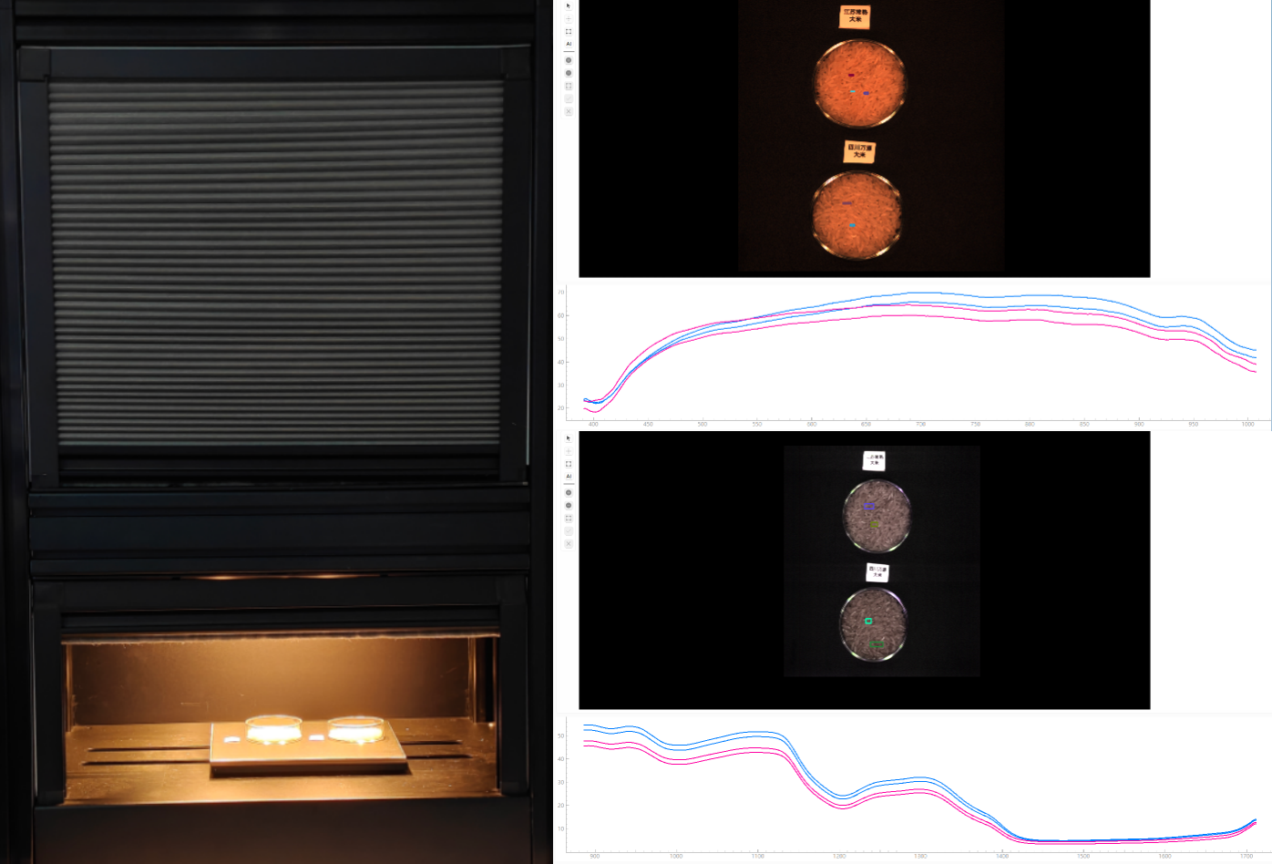 采集大米产地高光谱数据
