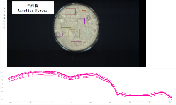 900-1700 当归粉.png