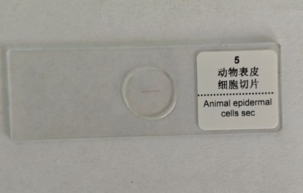 生物样本.png