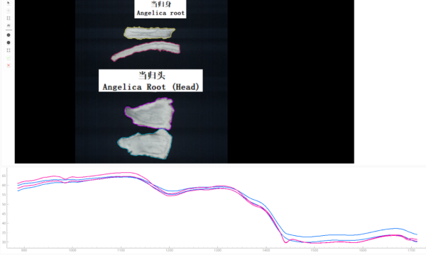 900-1700 2026058.png